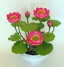 Lotus roses [ref. 110]
