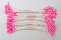 Pink Stamen, long